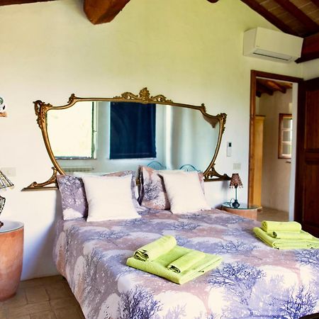 Agriturismo Quarantallina Buonconvento Extérieur photo